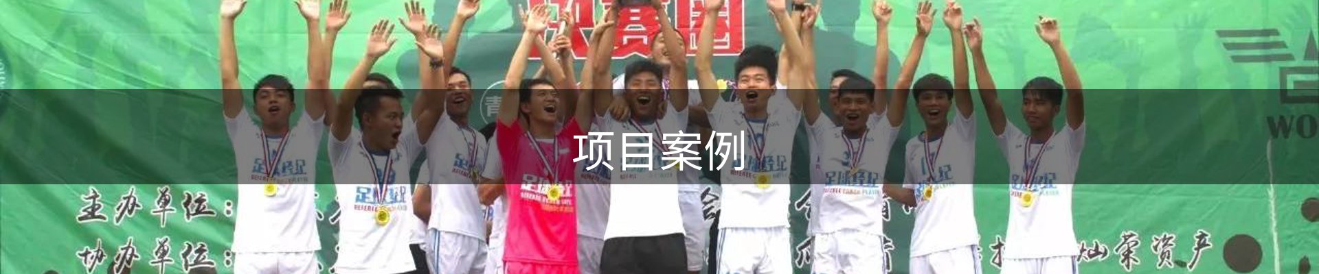 项目案例